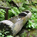 14-08-19 R8 Großglockner Radwanderweg MSK 0739 