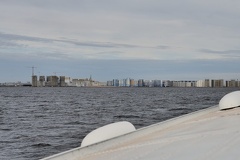 MSP 2155