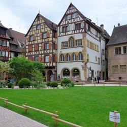 Colmar